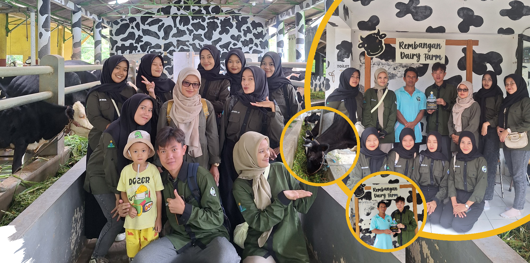 Mahasiswa dan Dosen Study Club Mikrobiologi Kunjungi Rembangan Dairy Farm Jember